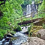 La Cascade Fleurie