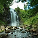 La Cascade Fleurie *