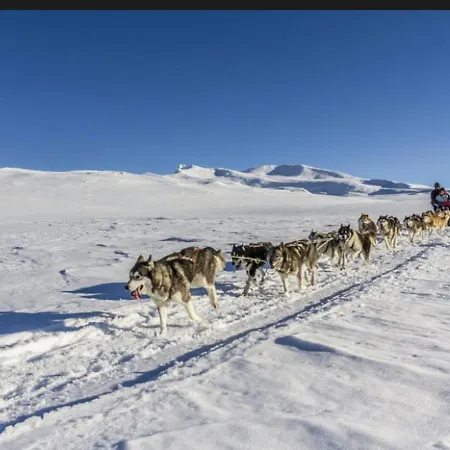 La Cascade Fleurie *