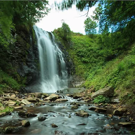 La Cascade Fleurie *